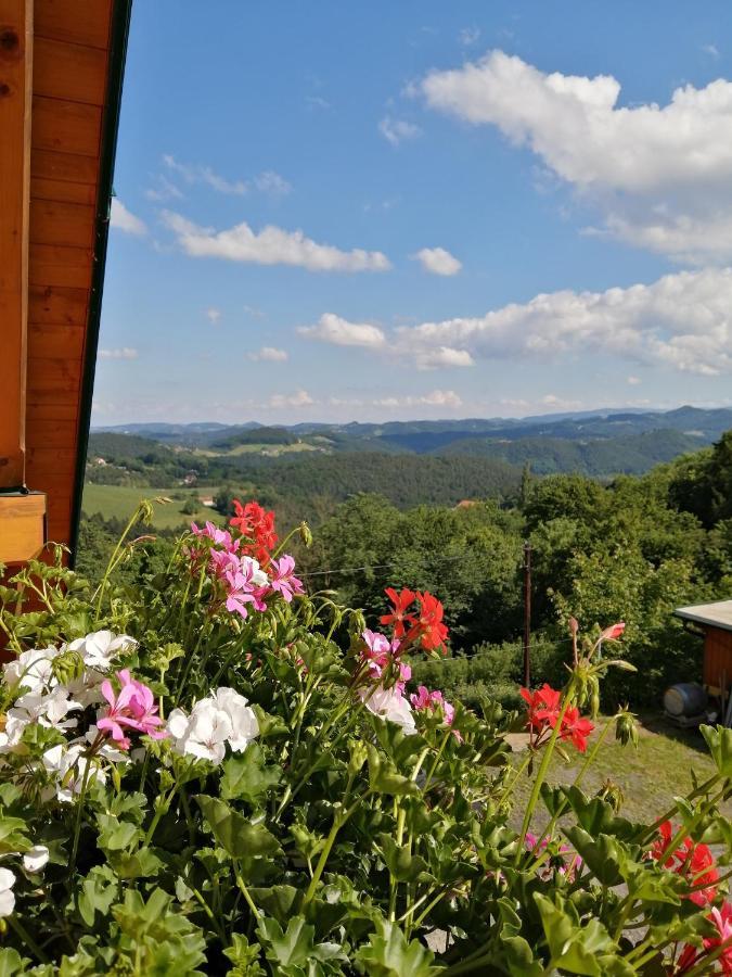 Ferienwohnung Stoff Kitzeck im Sausal Bagian luar foto